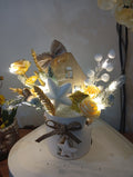 composition lumineuse maison enchanté